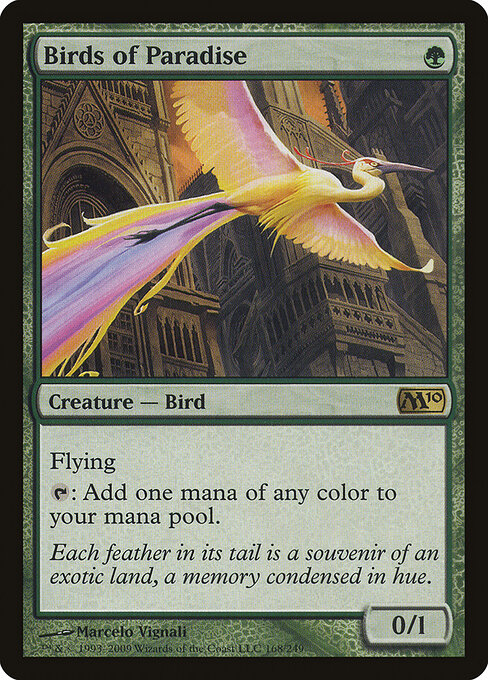 Birds of Paradise 168