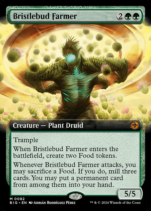 Bristlebud Farmer 82