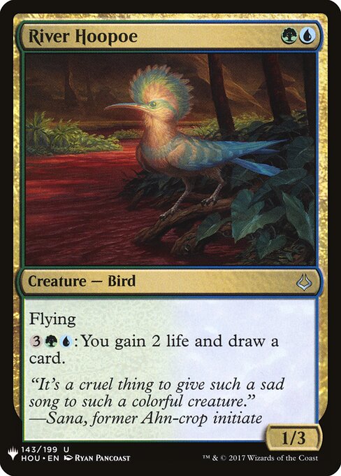 River Hoopoe HOU-143