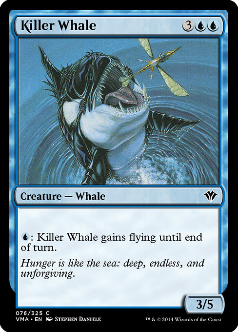 Killer Whale 76