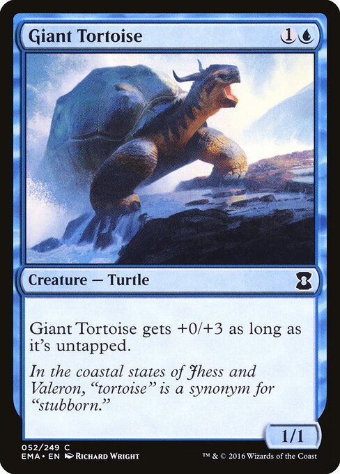 Giant Tortoise 52