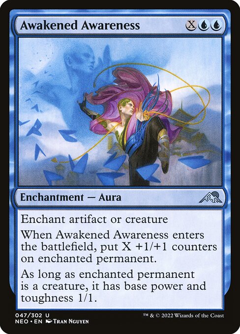 Awakened Awareness 47