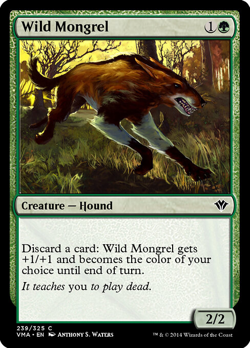 Wild Mongrel 239