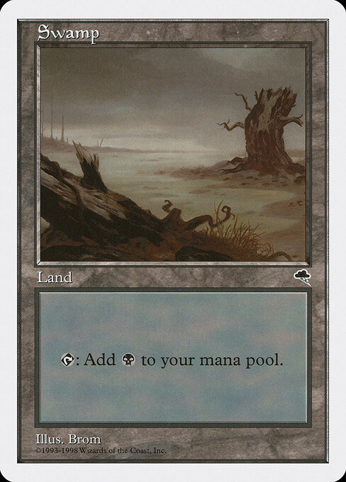 Swamp 81