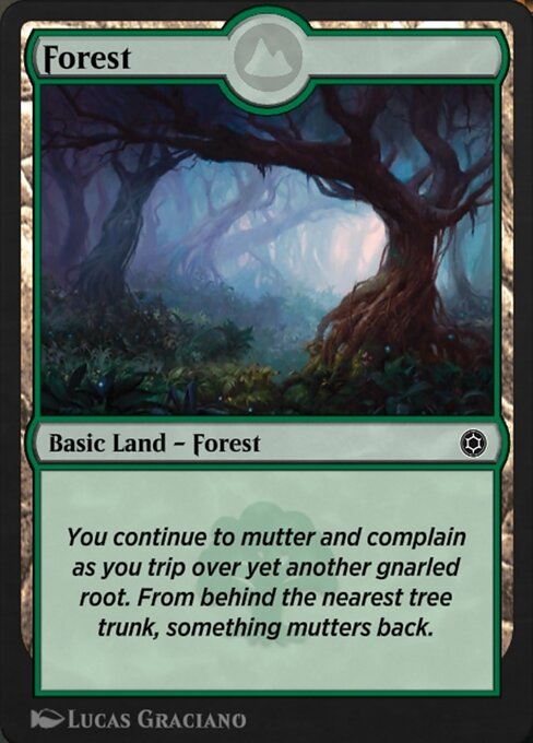Forest 307