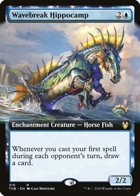 Wavebreak Hippocamp 310