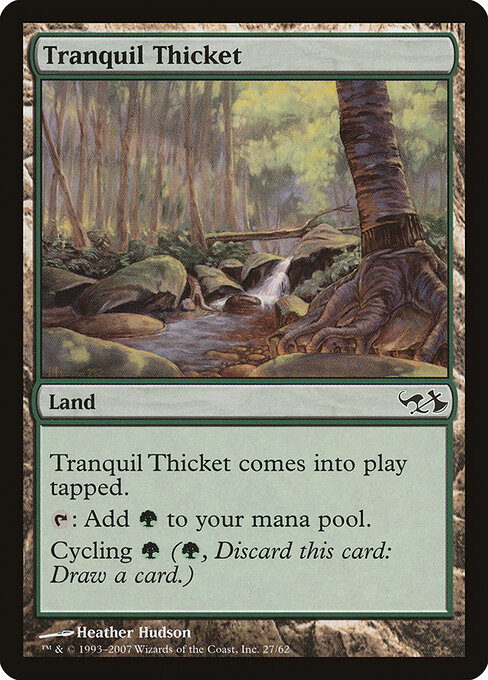 Tranquil Thicket 27