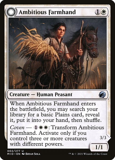 Ambitious Farmhand // Seasoned Cathar 2