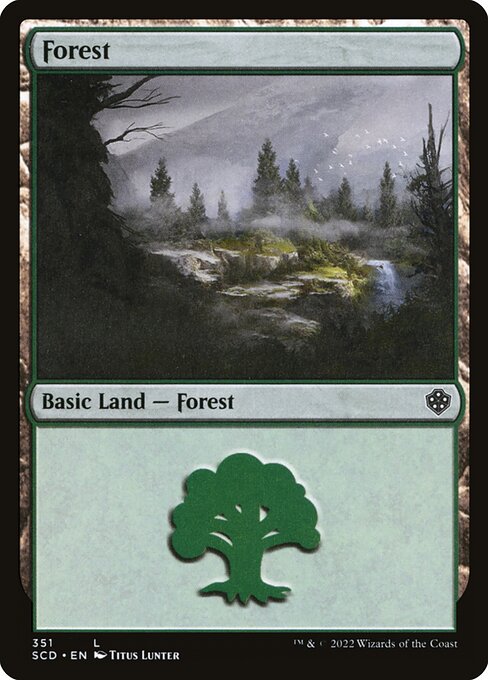 Forest 351