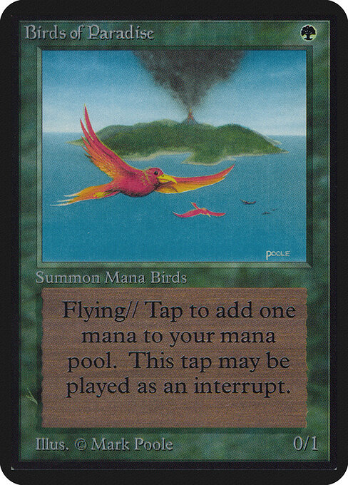 Birds of Paradise 186