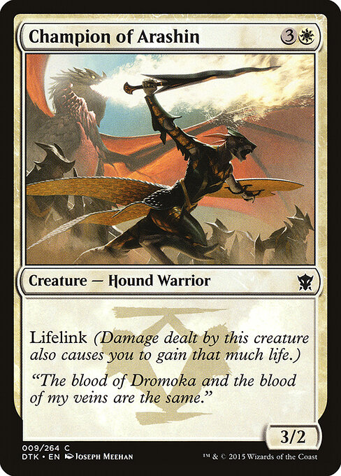 Champion of Arashin 9