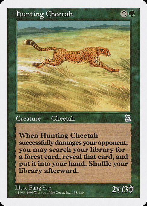 Hunting Cheetah 138