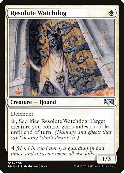 Resolute Watchdog 19