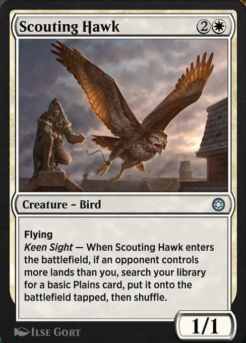 Scouting Hawk 102