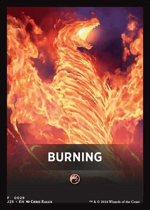 Burning 29