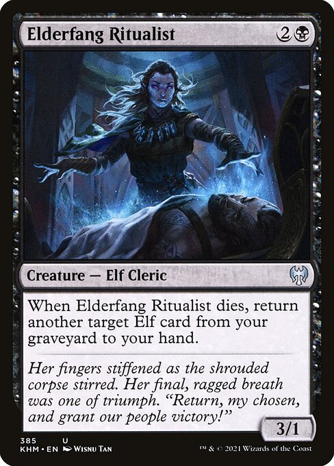 Elderfang Ritualist 385