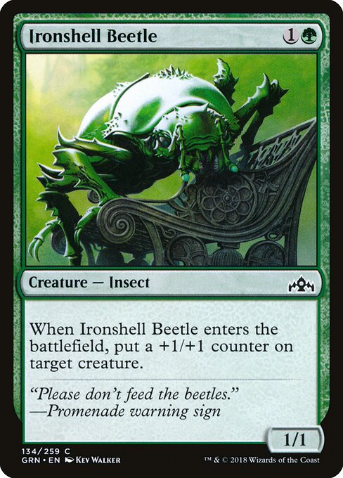 Ironshell Beetle 134