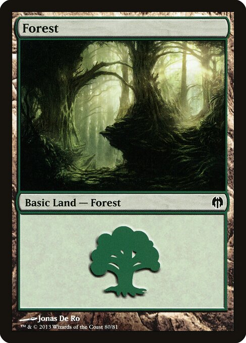Forest 80