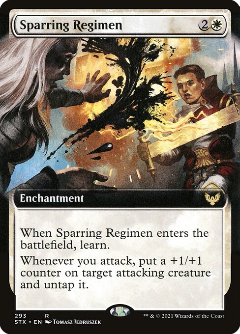 Sparring Regimen 293