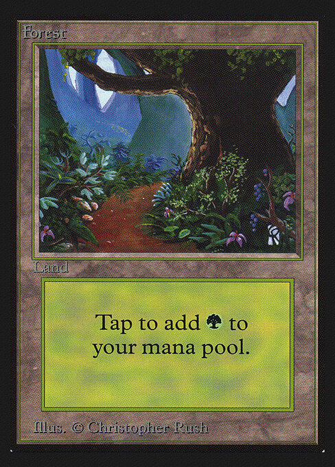 Forest 301