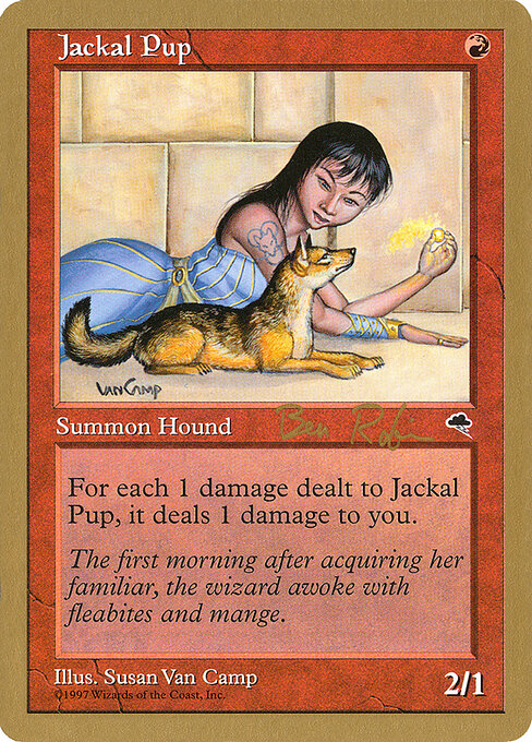 Jackal Pup br183
