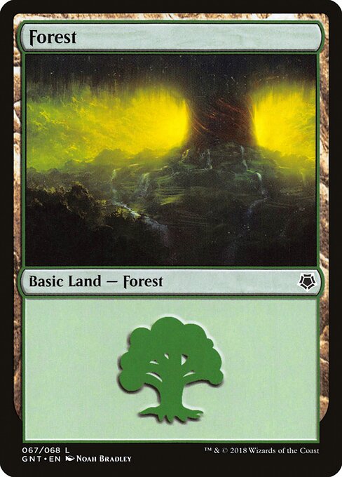 Forest 67
