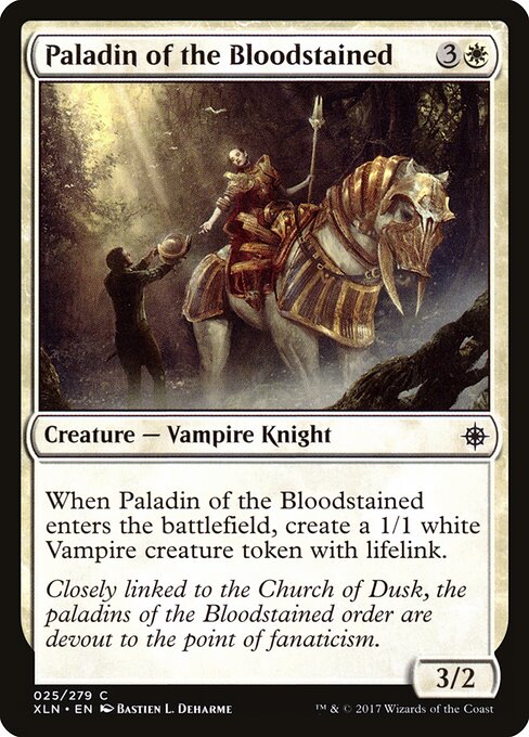 Paladin of the Bloodstained 25