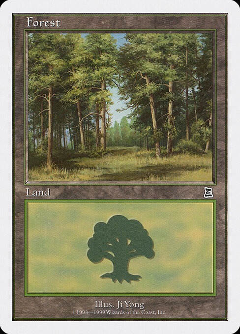 Forest 107