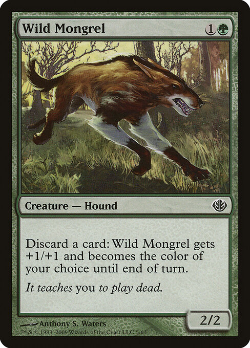 Wild Mongrel 5