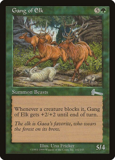 Gang of Elk 102