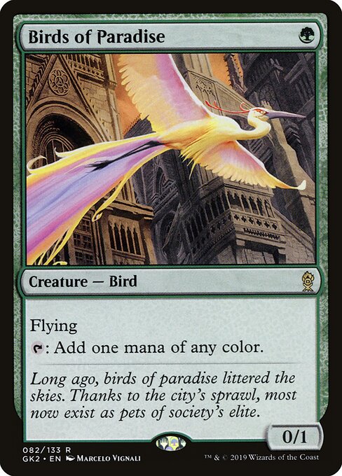 Birds of Paradise 82