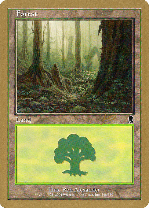 Forest rl348