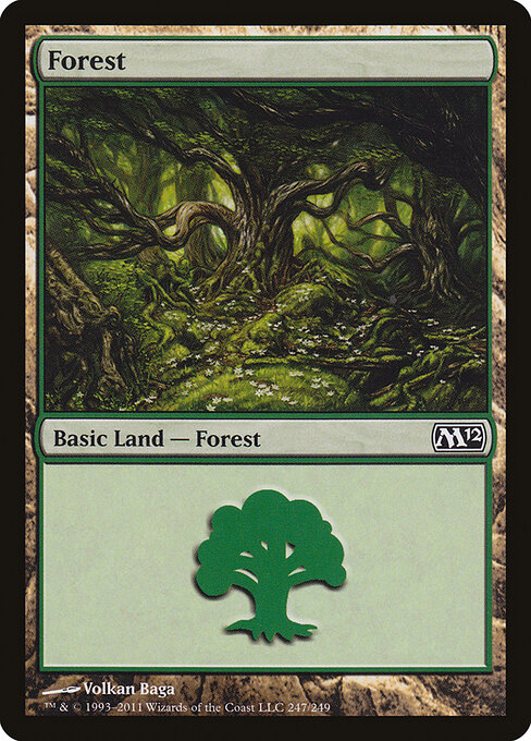 Forest 247