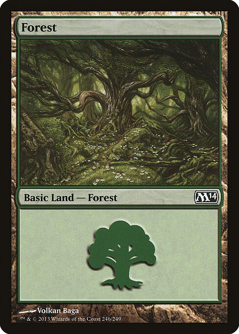 Forest 246