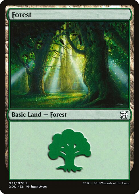 Forest 31