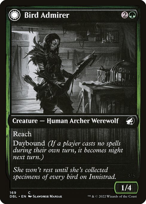 Bird Admirer // Wing Shredder 169