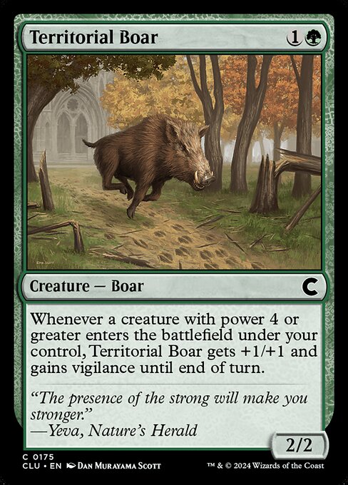 Territorial Boar 175