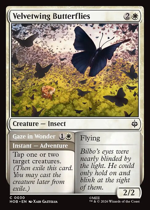 Velvetwing Butterflies // Gaze in Wonder 30