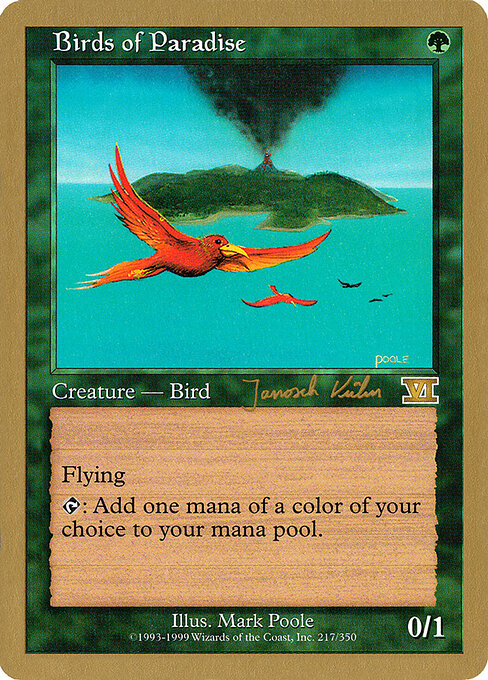 Birds of Paradise jk217
