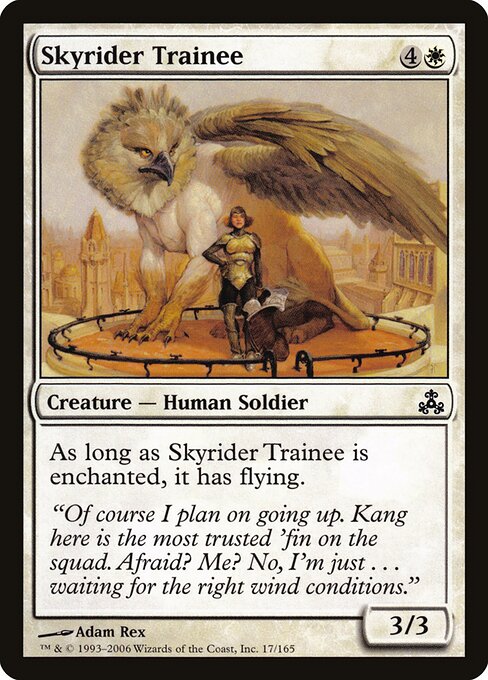 Skyrider Trainee 17