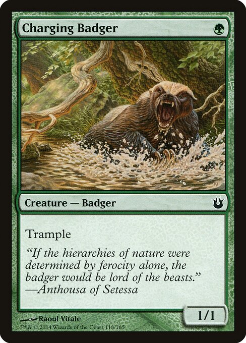 Charging Badger 118