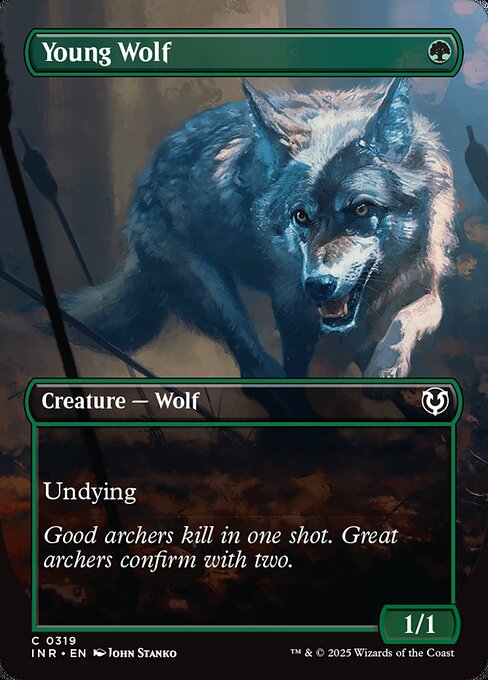 Young Wolf 319