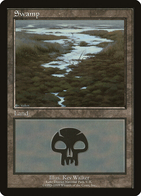 Swamp 10