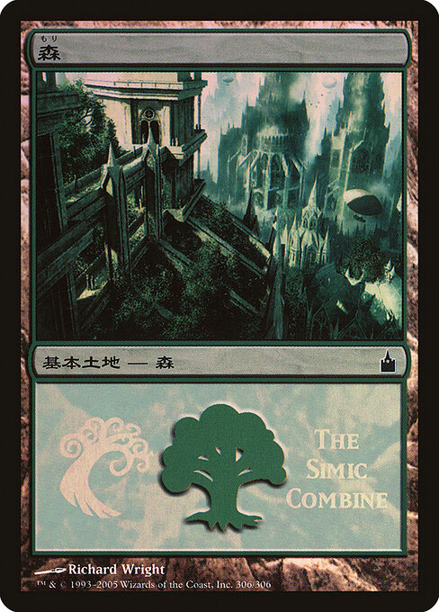 Forest 306