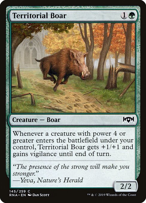 Territorial Boar 145