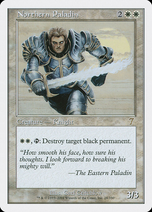 Northern Paladin 28