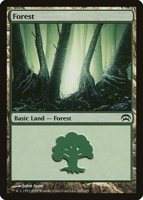 Forest 165
