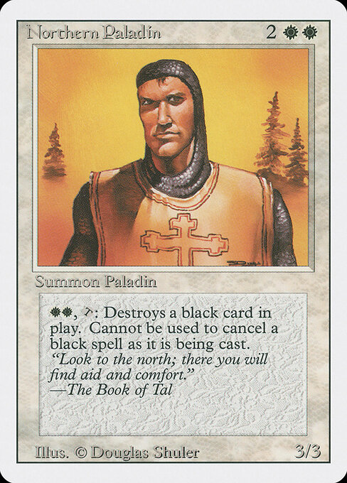 Northern Paladin 29
