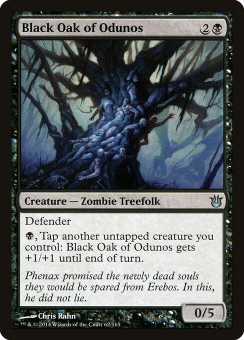 Black Oak of Odunos 62