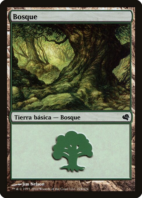 Forest 224